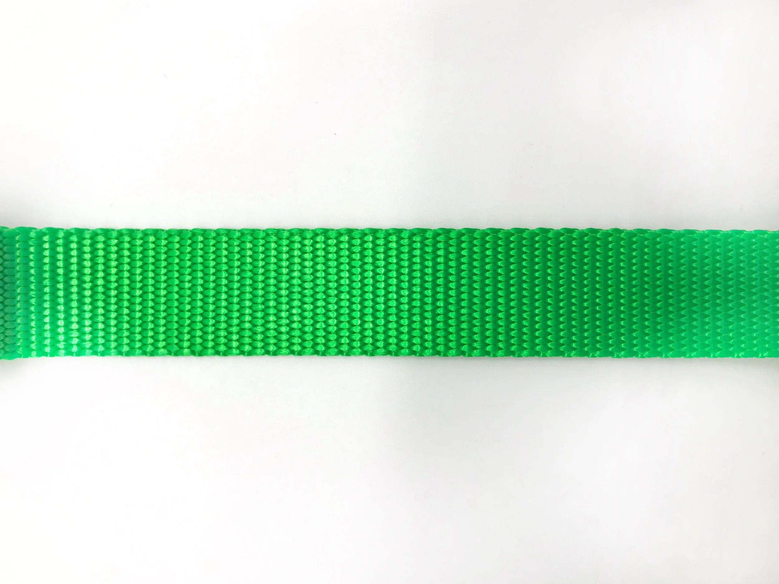 Green Leash Pattern.JPG
