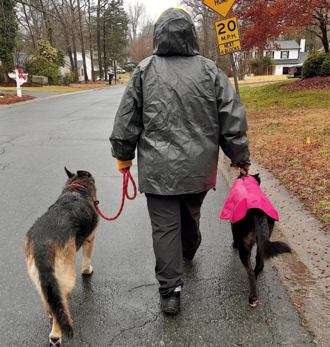 Aunt Syl &amp; Raven doing a rainy day check-in on Cooper