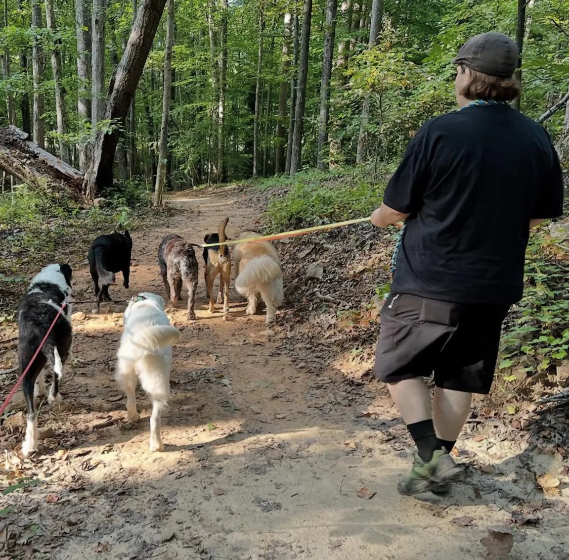 Aunt Syl &amp; PackPlay Pups on an adventure!