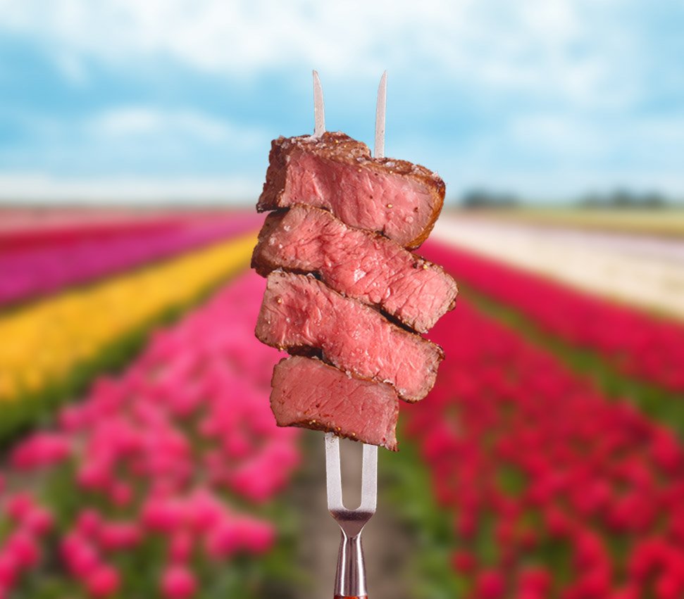 steakthumb.jpg
