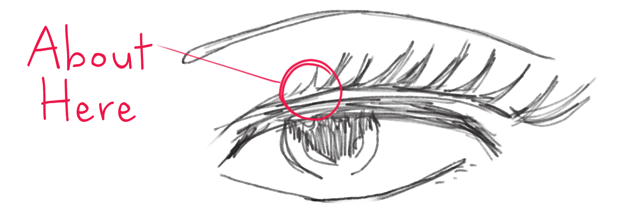 eyelash_sketch.jpg