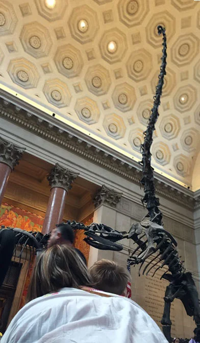 dino_pano.jpg