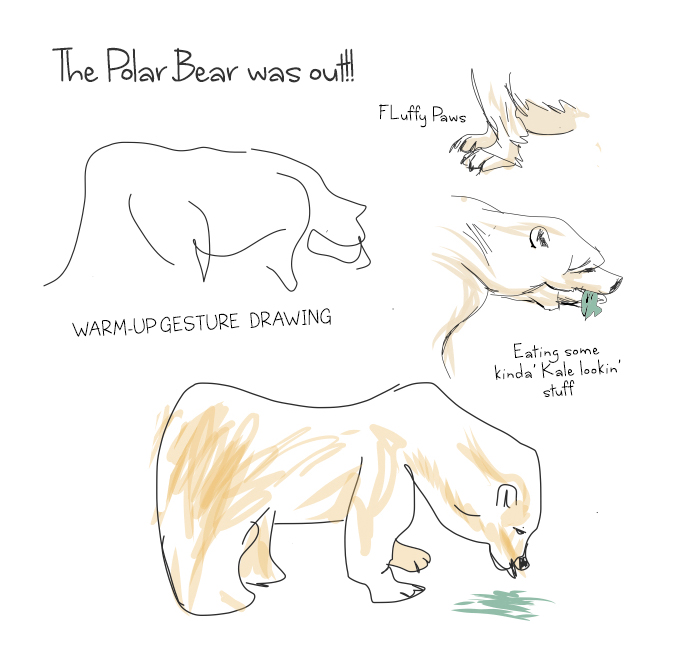 polar_bear.jpg