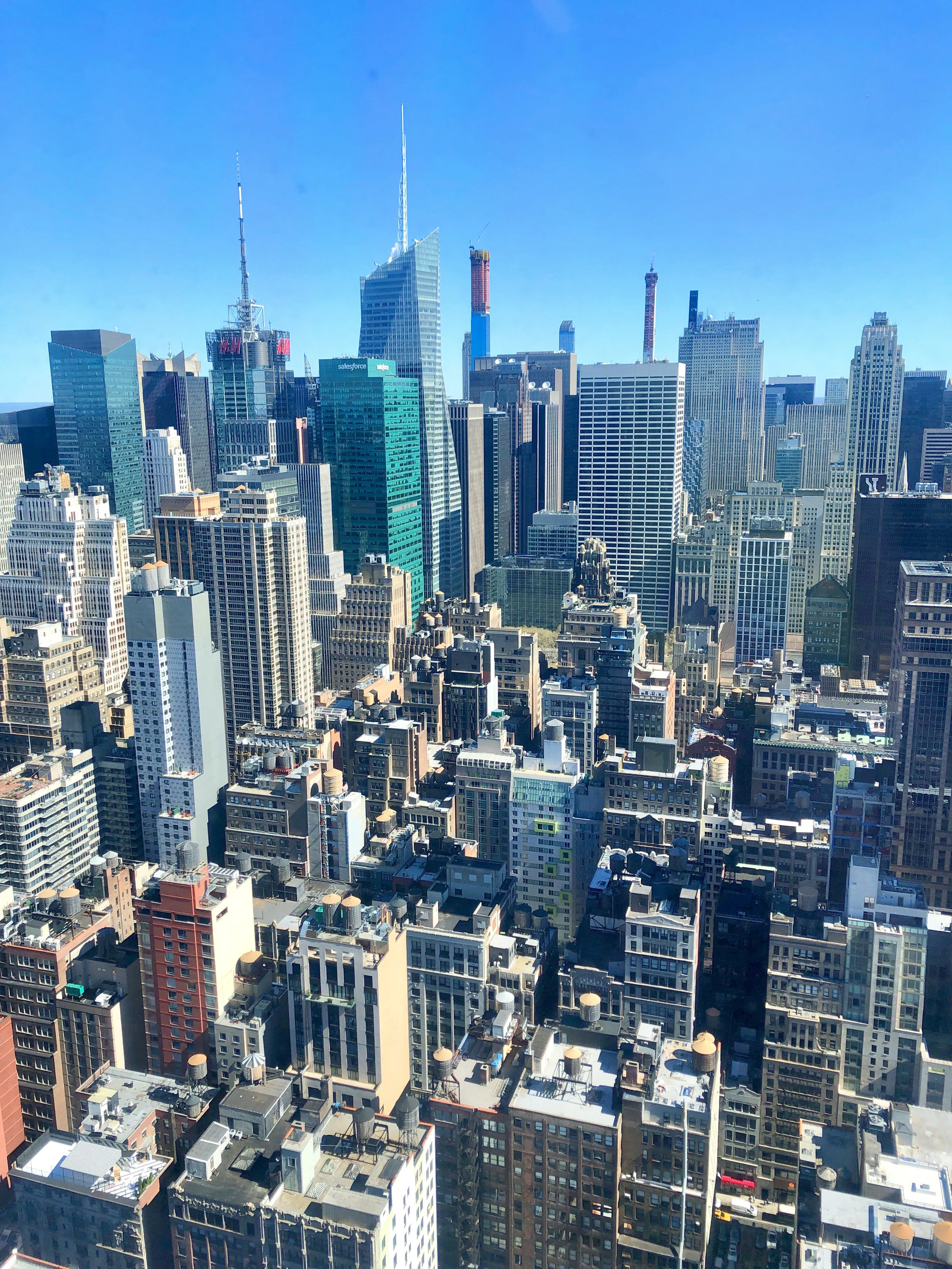 Concrete Jungle New York, NY
