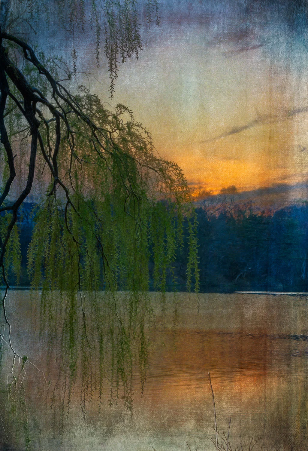 Sunset with Willow