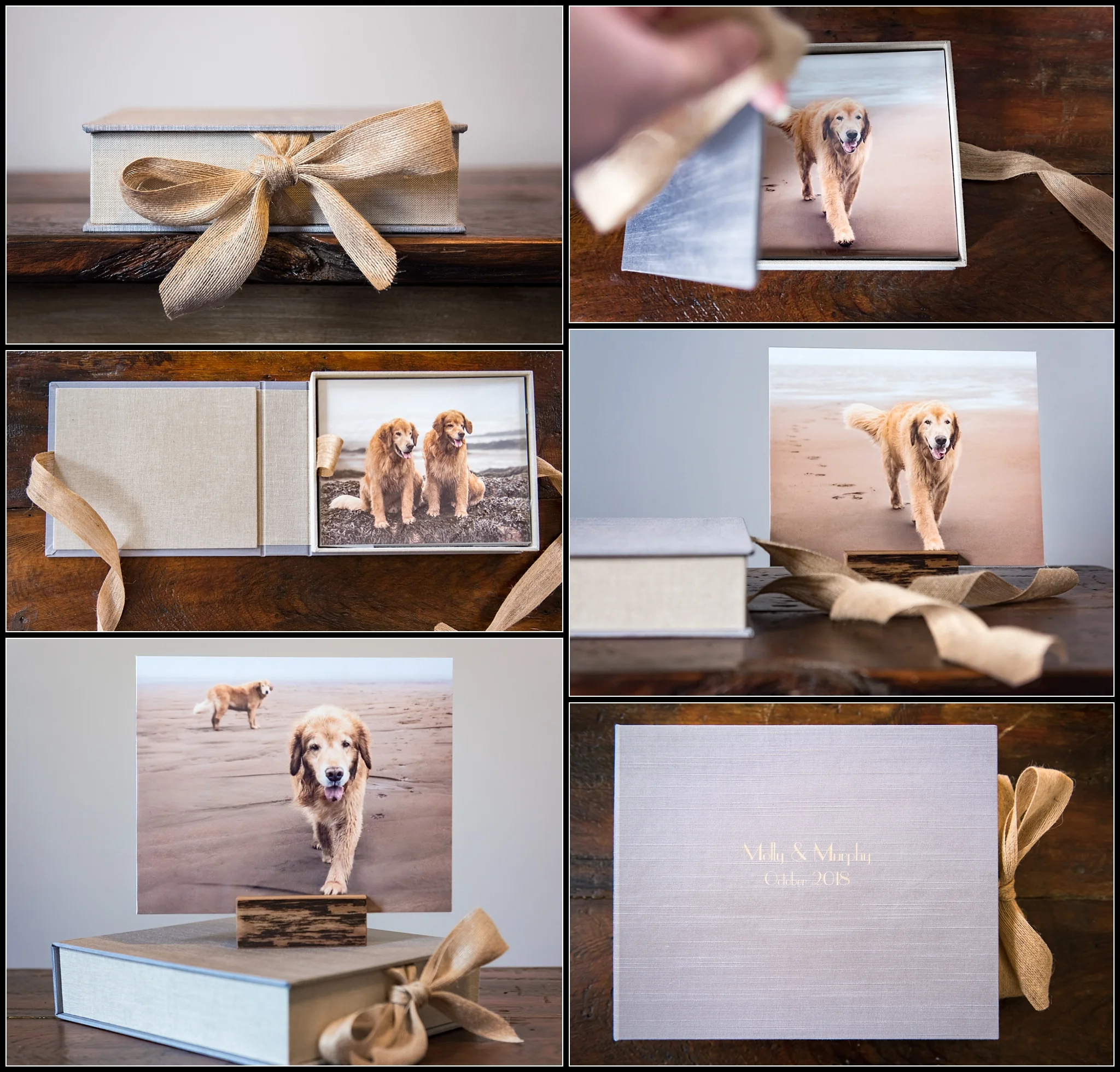 I'm so in love with the memory box I created for the owner of these Golden Retrievers. The blue/grey and sandy tones of the beach on a foggy day were a perfect match for the neutral/beachy decor in the home.