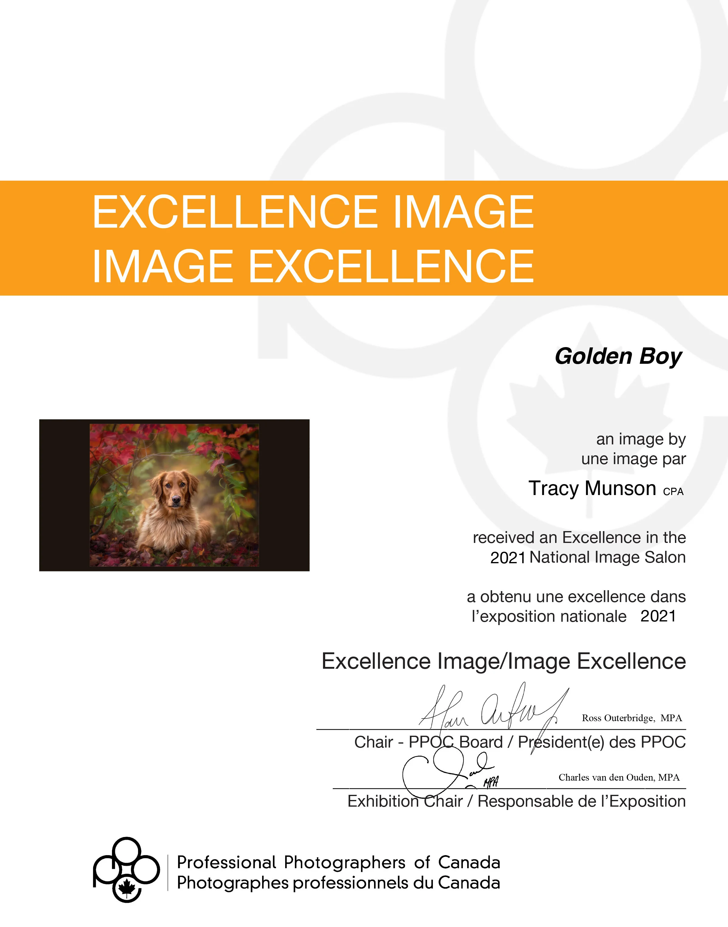 Image Certificates NATIONAL-3.jpg