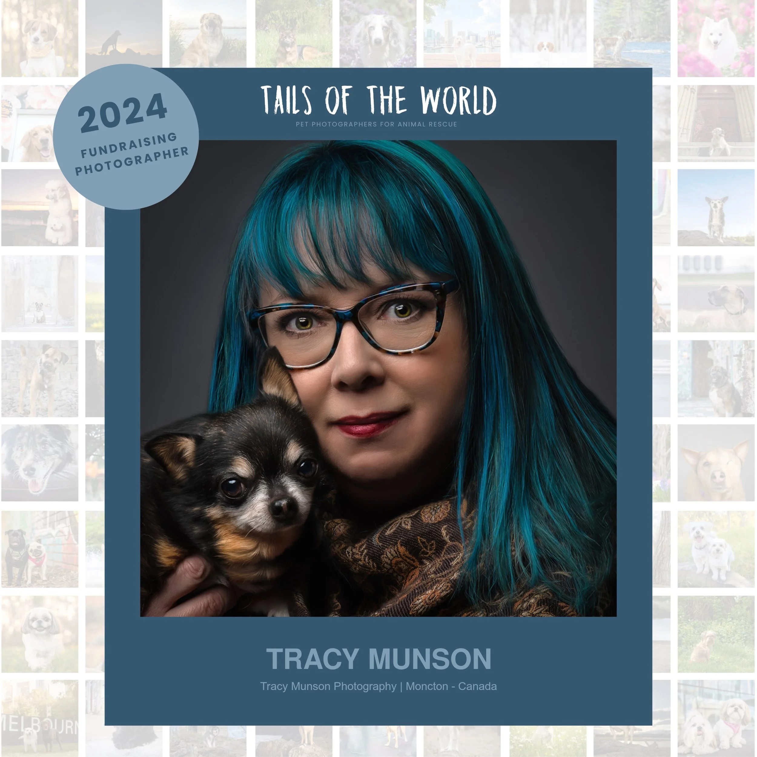 Tailsoftheworld.jpg (Copy)