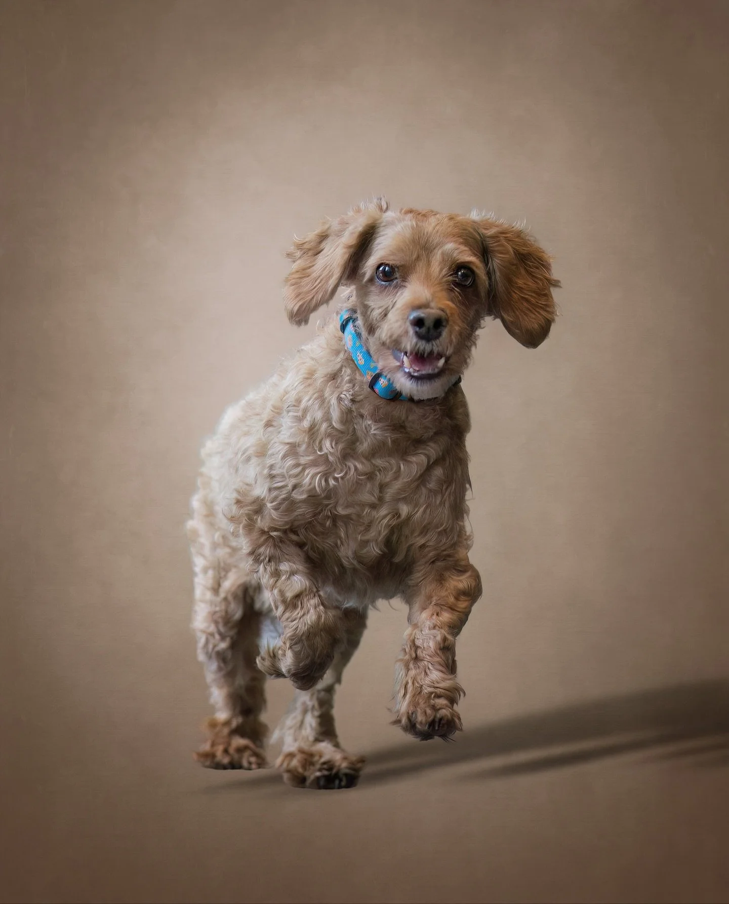 Swipe for a peek behind the scenes! This photo of sweet Hatrick was taken during my live photoshoot demo at the @ppocprairieregion Prairie Creatives conference in Winnipeg last month. It was raining outside, so we had to make do with the hotel confer