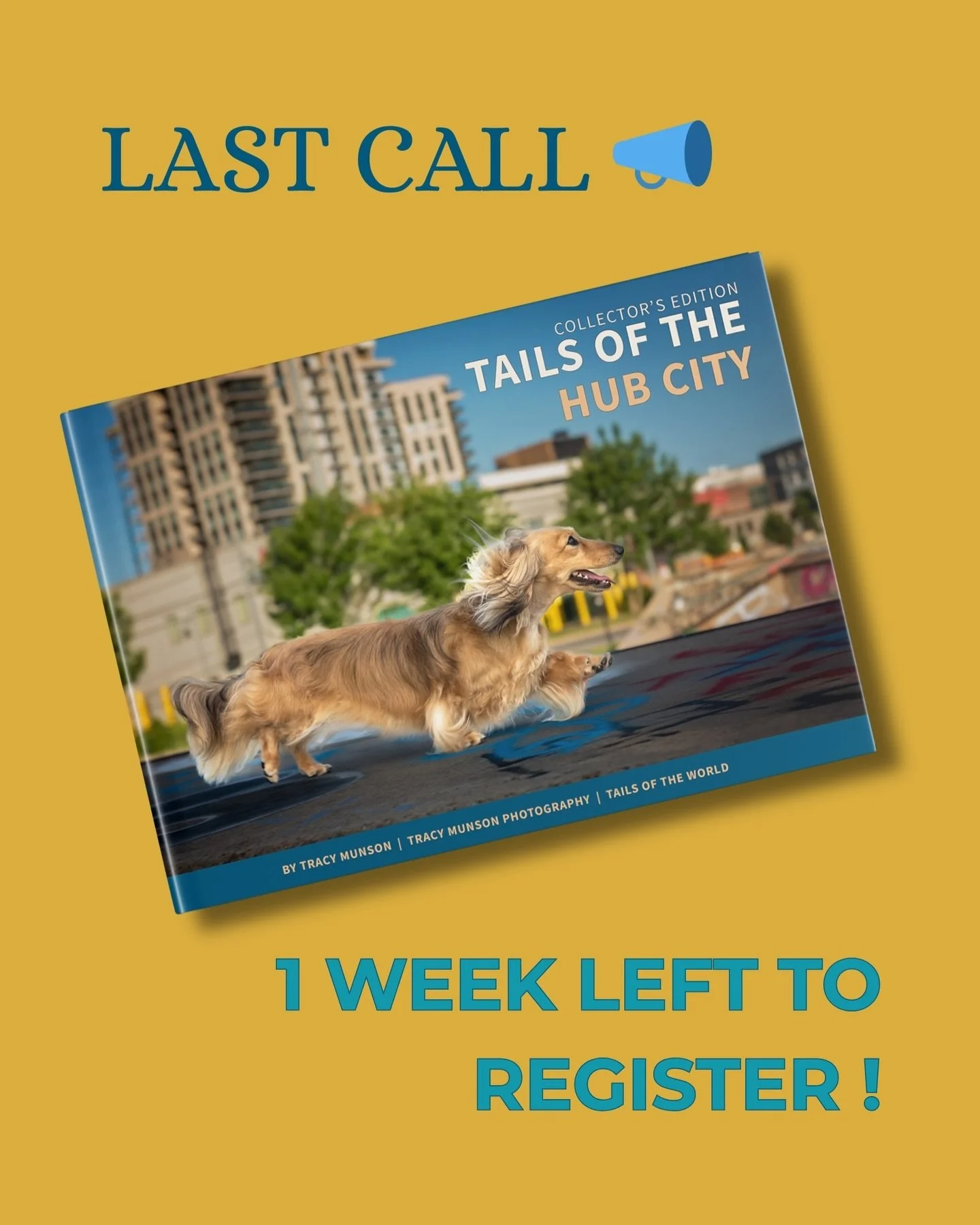 Last chance to get your dog into the Tails of the Hub City book 📸🐕📘! Your actual session can be any time between now and next fall, but you have to sign up now. $100 from each registration fee goes to @paw.sba and I need to make the donation durin
