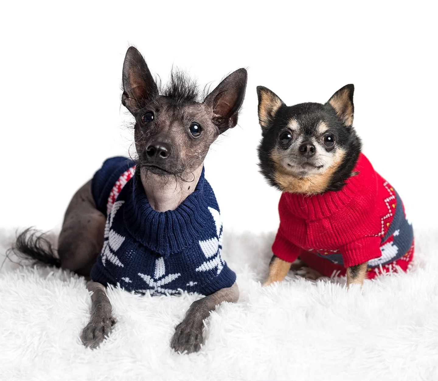 Still full from yesterday, but already thinking about round 2 &hellip;🌝🤰🤭