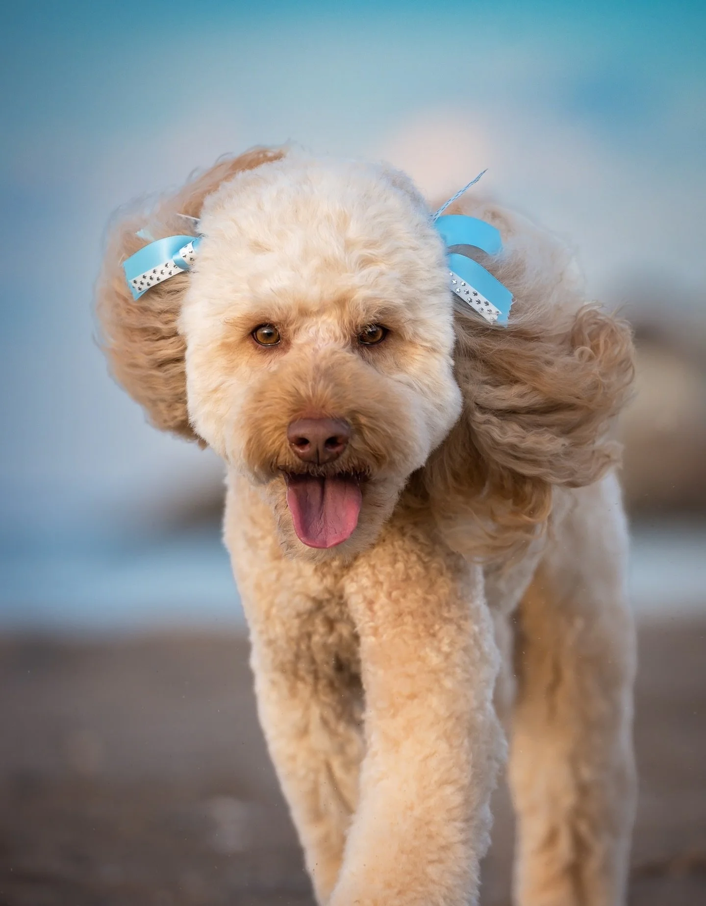 ⭐️FEATURED FINALIST⭐️ Maya

You know when you see a really pretty girl and you think &ldquo;well, she&rsquo;s probably mean and snobby, or not very smart&rdquo;, but then you meet her and it turns out that she&rsquo;s super sweet and also working on 