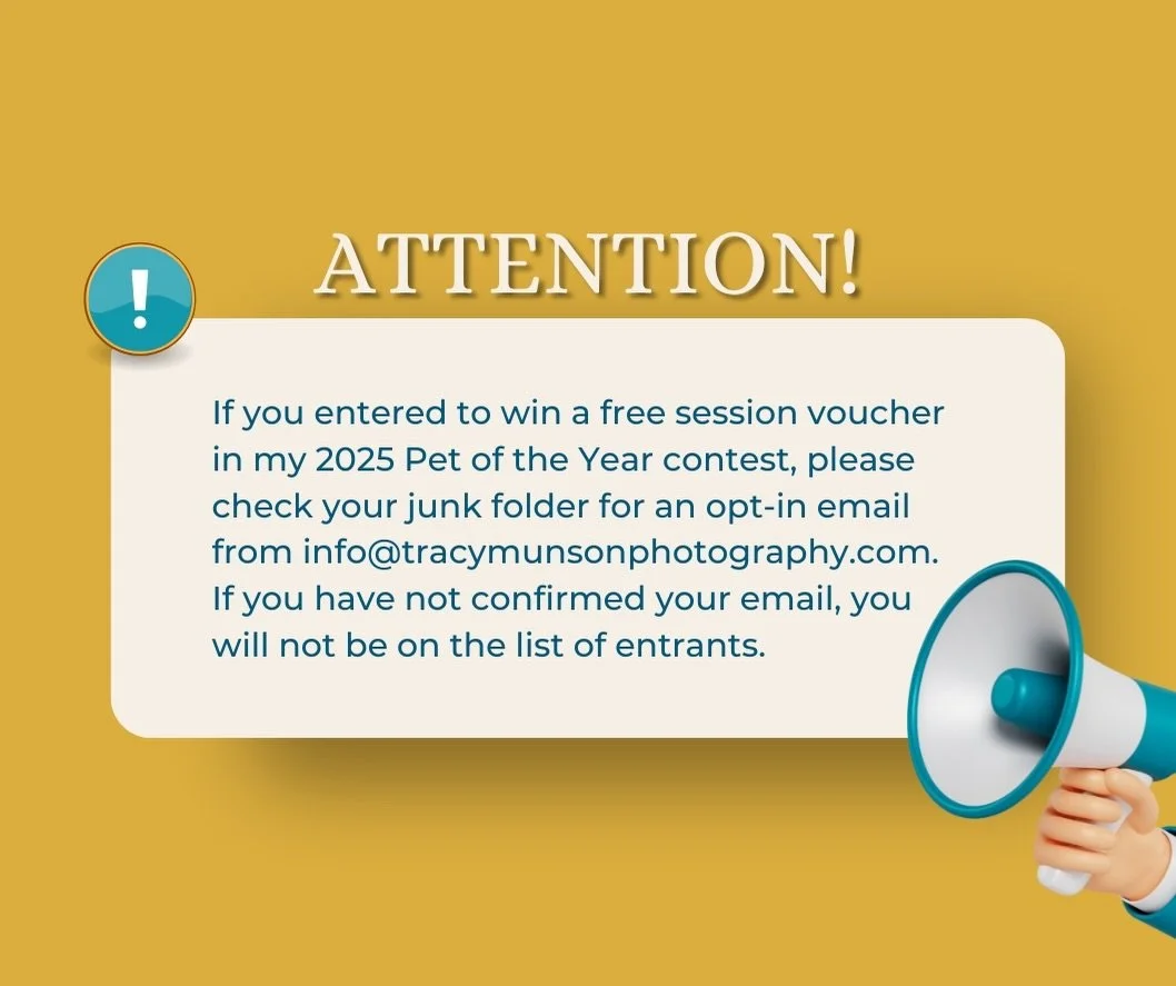 There are over 100 entrants for my session giveaway who have not yet confirmed their emails. If you don&rsquo;t opt in, I can&rsquo;t email you!