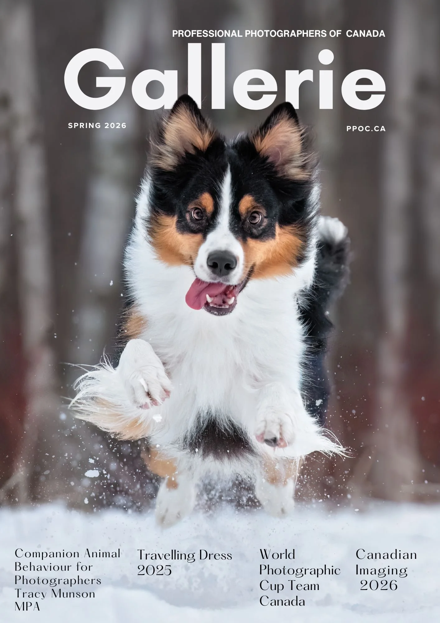 My Gallerie Magazine Cover Story