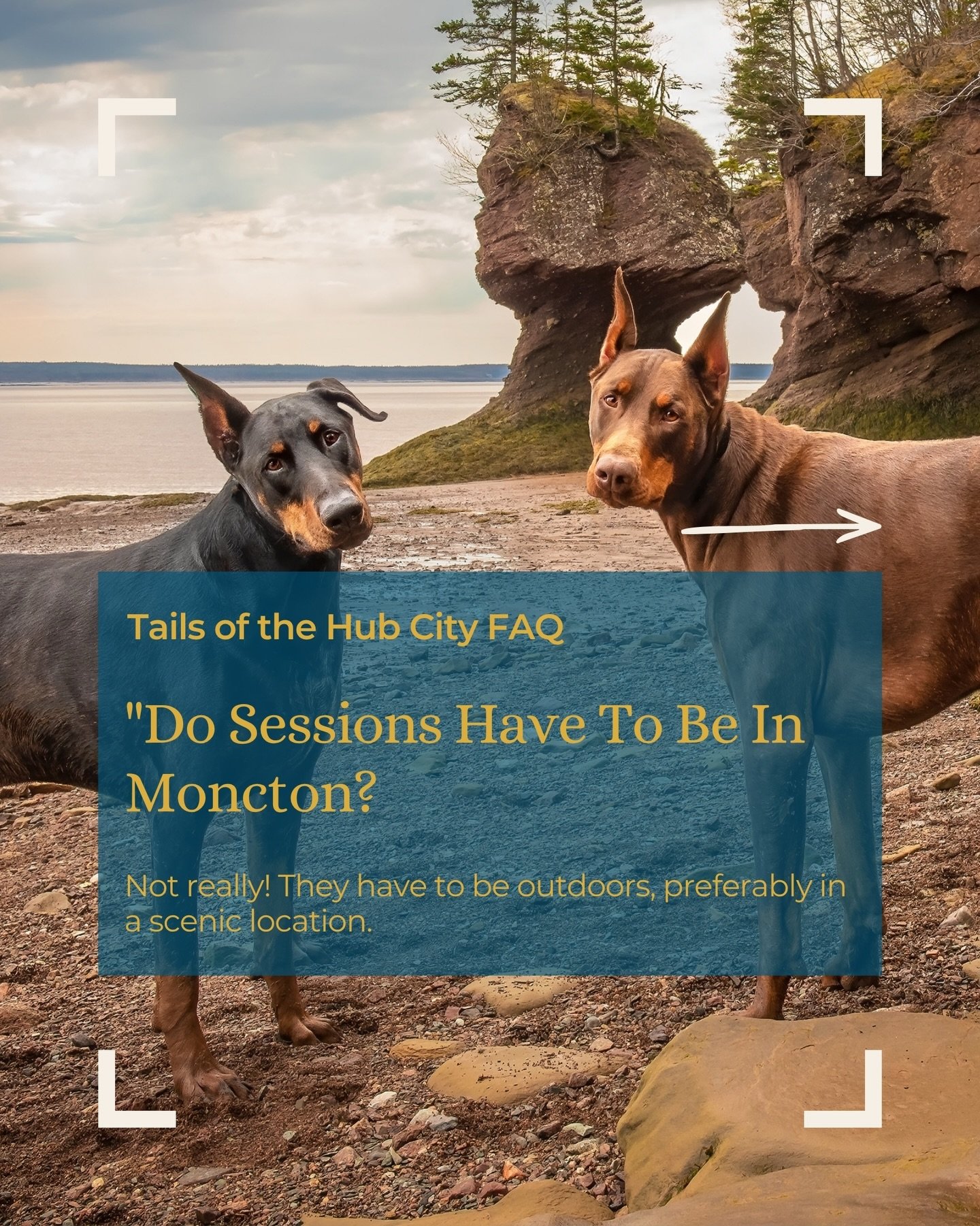 Being a pet photographer requires being flexible, resourceful, and open-minded. In that spirit, we&rsquo;re going to keep a pretty broad definition of &ldquo;Moncton&rdquo; for the Tails of the Hub City book. So far, I&rsquo;ve done book sessions as 
