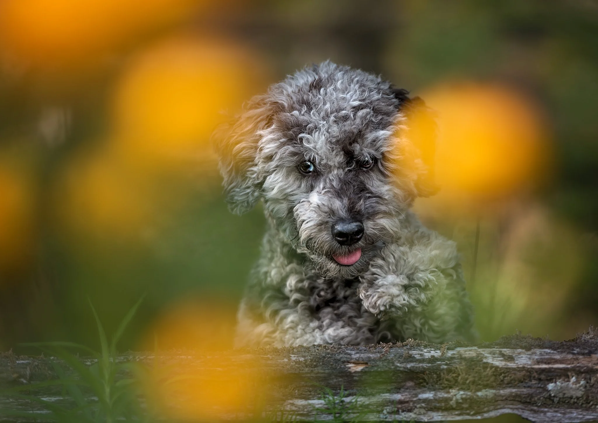 DSC_9056-Edit2.jpg