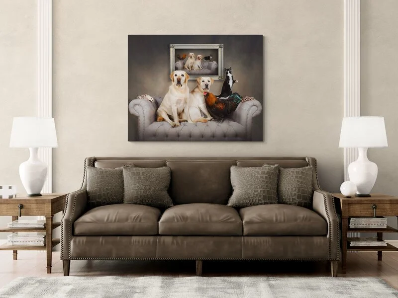 "She truly captured the personality of every one of my pets."

 

  Lennon, Mumford, Pip, Limpy & Friends   I highly recommend Tracy for her amazing pet photography skills. She truly captured the personality of every one of my pets (2 dogs, 1 cat, 4 