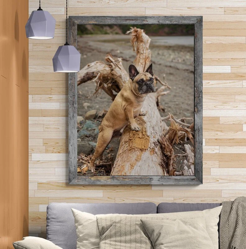 "I was blown away by the photos and the quality of the prints that I ordered; they are more stunning than I ever imagined they could be!"

 

  Frankie   I wasn't sure how the photoshoot was going to go or what kind of shots Tracy would be able to ge