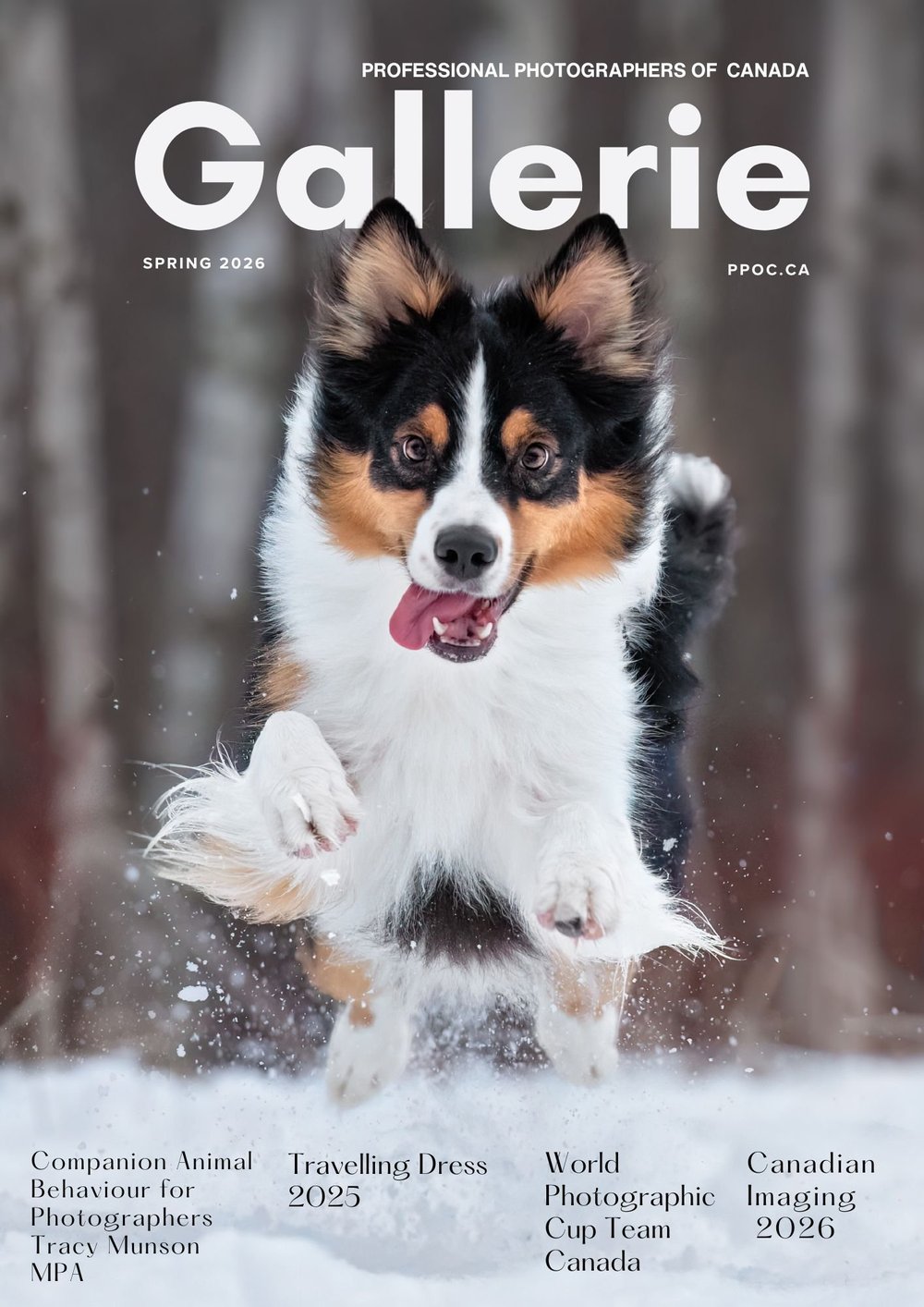 My Gallerie Magazine Cover Story