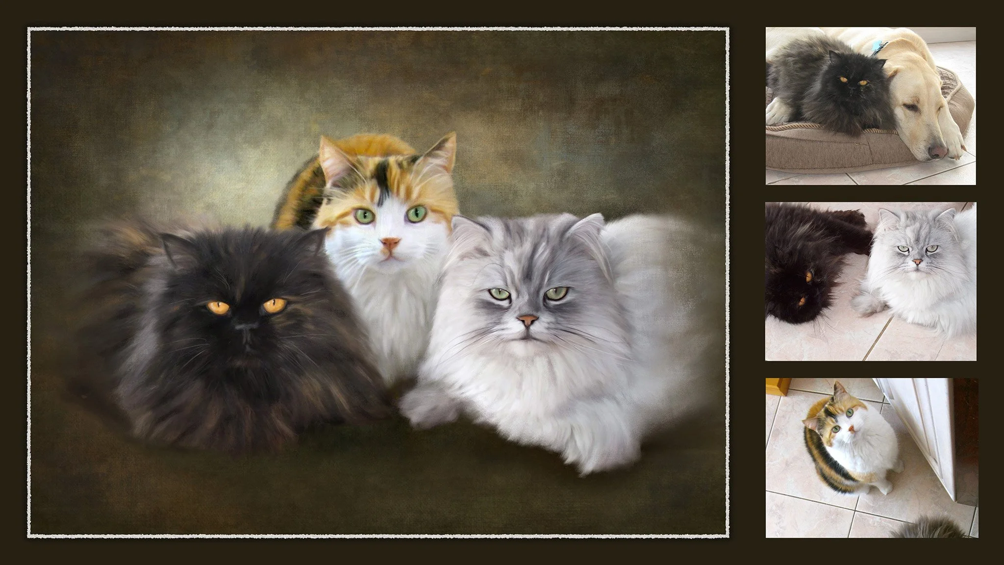AdeleCats-comp-mat-webres.jpg