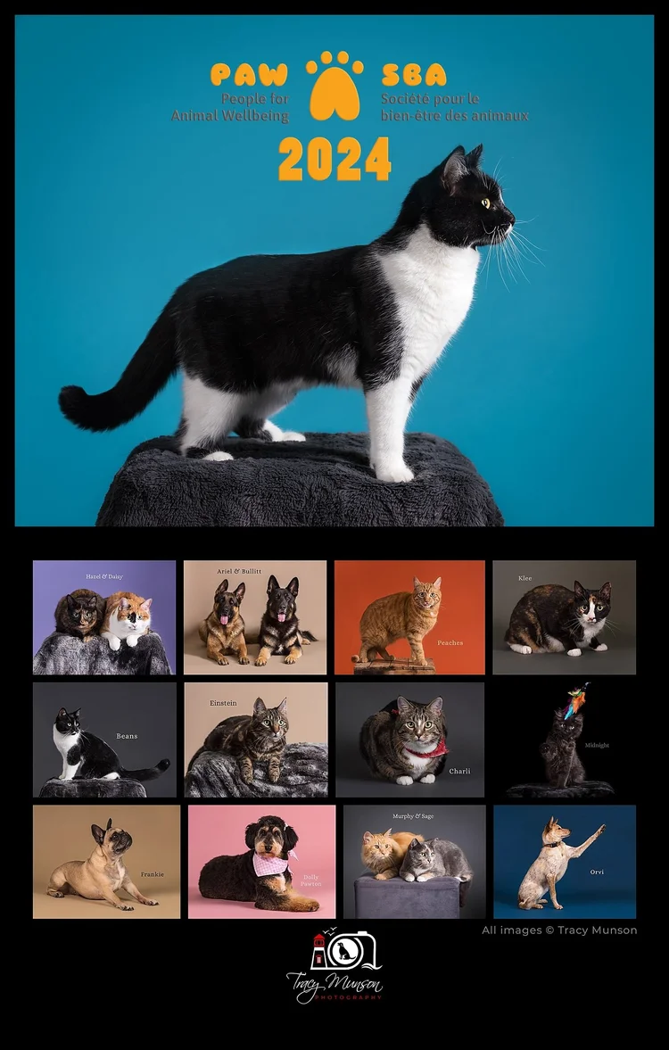 2024 calendar — Pet Photo Blog — Moncton's Premier Dog Photographer