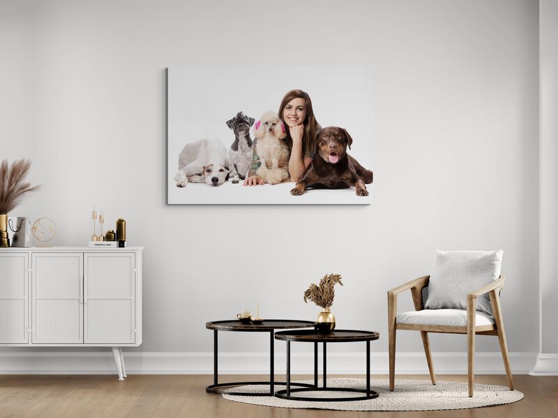 "Wow!! So happy with her work!"

 

  Zendrick, Honey, Jimmy Bean, and Fudge   Tracy is beyond amazing at what she does! From the time working with you and your pets, she’s professional, gentle, talented &amp; beyond patient! I had 4 dogs to work wit
