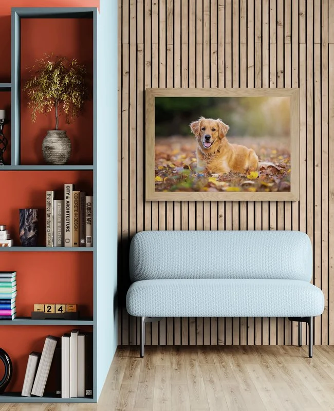 "Highly recommend Tracy for pet photography!!"

 

  Georgia   We had a great experience getting photos done of our golden retriever Georgia! Highly recommend Tracy for pet photography!! Our prints are beautiful 😊  ★ ★ ★ ★ ★  - Macayla Geldart, Rive