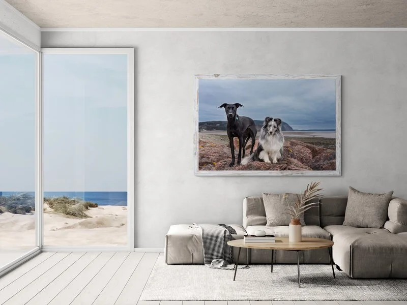 "She worked quietly and patiently with my people-shy dogs."

 

  Jade & Tyra   I found Tracy to be very easy to chat with. She worked quietly and patiently with my people-shy dogs. Tracy's scheduling was very accommodating as I live a couple of hour