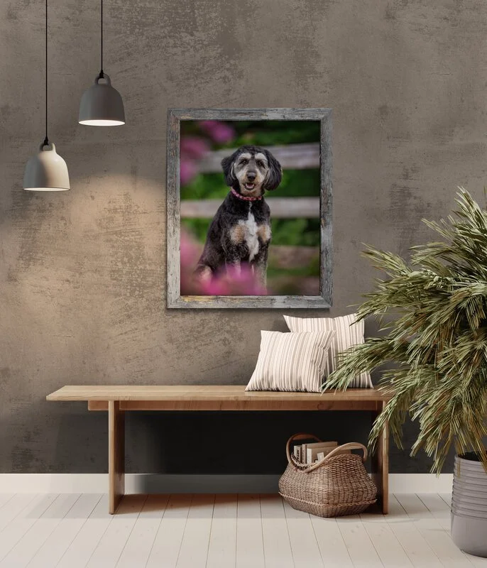"The photoshoot was fun and relaxed for both my dog and myself."

 

  Dolly Pawton   Seeing the final result brought tears to my eyes. Tracy is amazing and a true professional. The photoshoot was fun and relaxed for both my dog and myself. She has a