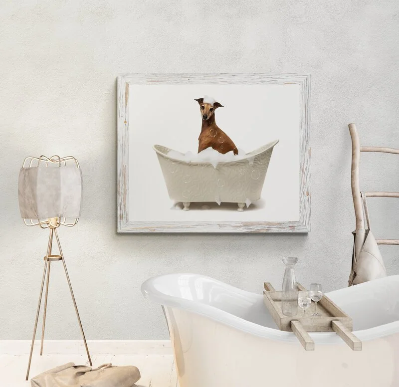 "Worth every penny.

 

  Chanel   Amazing quality photos. So good with pets. Definitely an expert in her field. So worth every penny.  ★  ★  ★  ★  ★    - Stephanie Vatour, Moncton, NB 