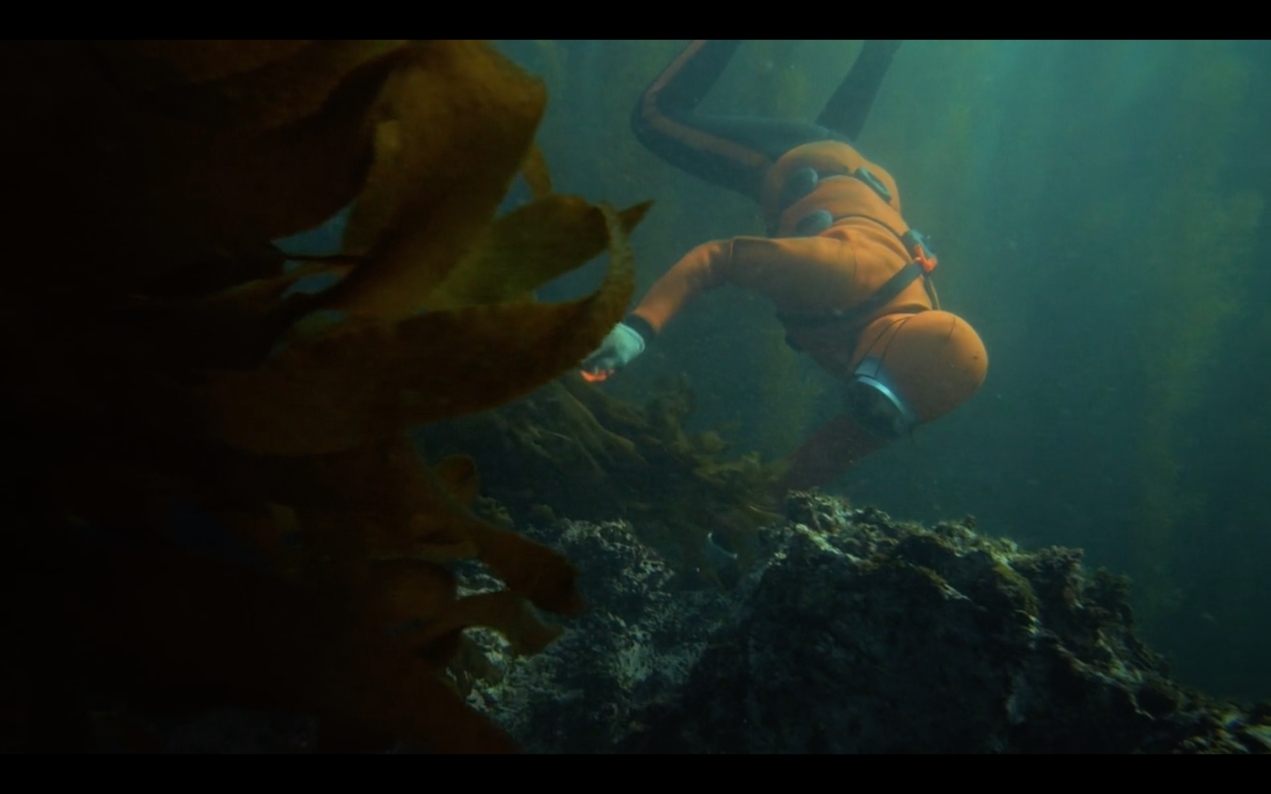 Haenyeo: Women of the Sea