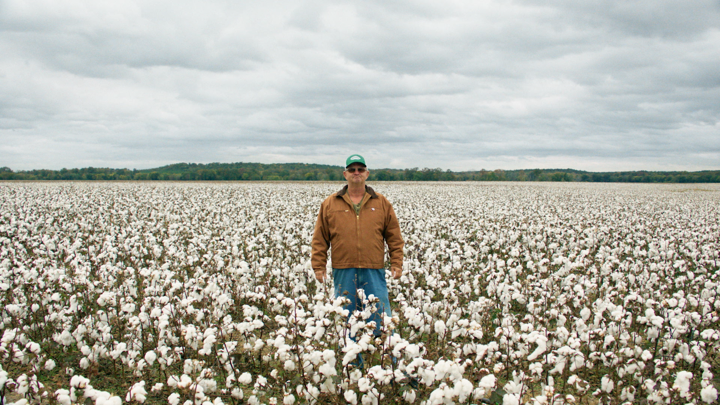 Bayer | Delta Pine | Strong Cotton