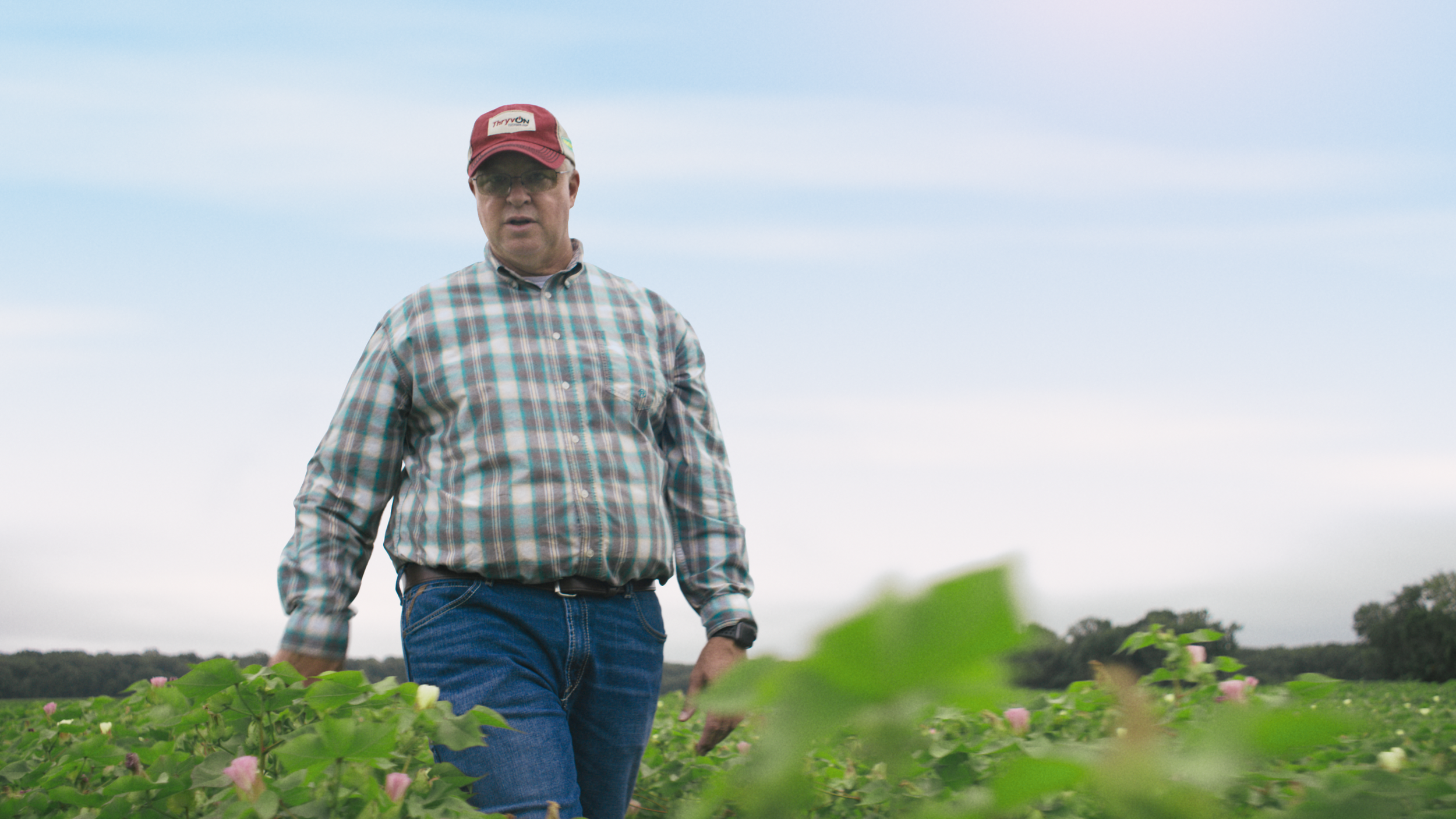 Bayer | Delta Pine | Yield Robbers_01.png