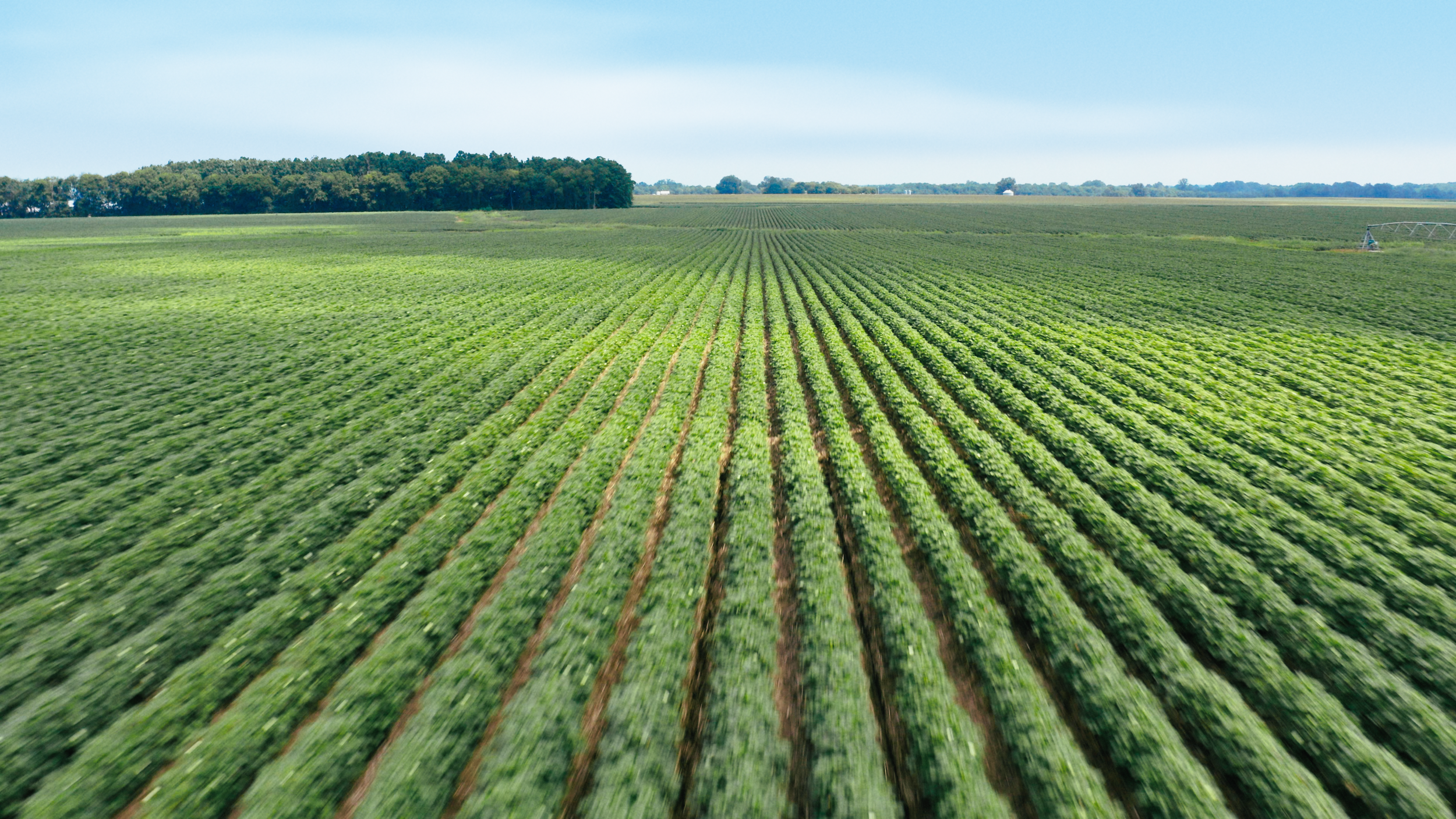 Bayer | Delta Pine | Yield Robbers_05.png