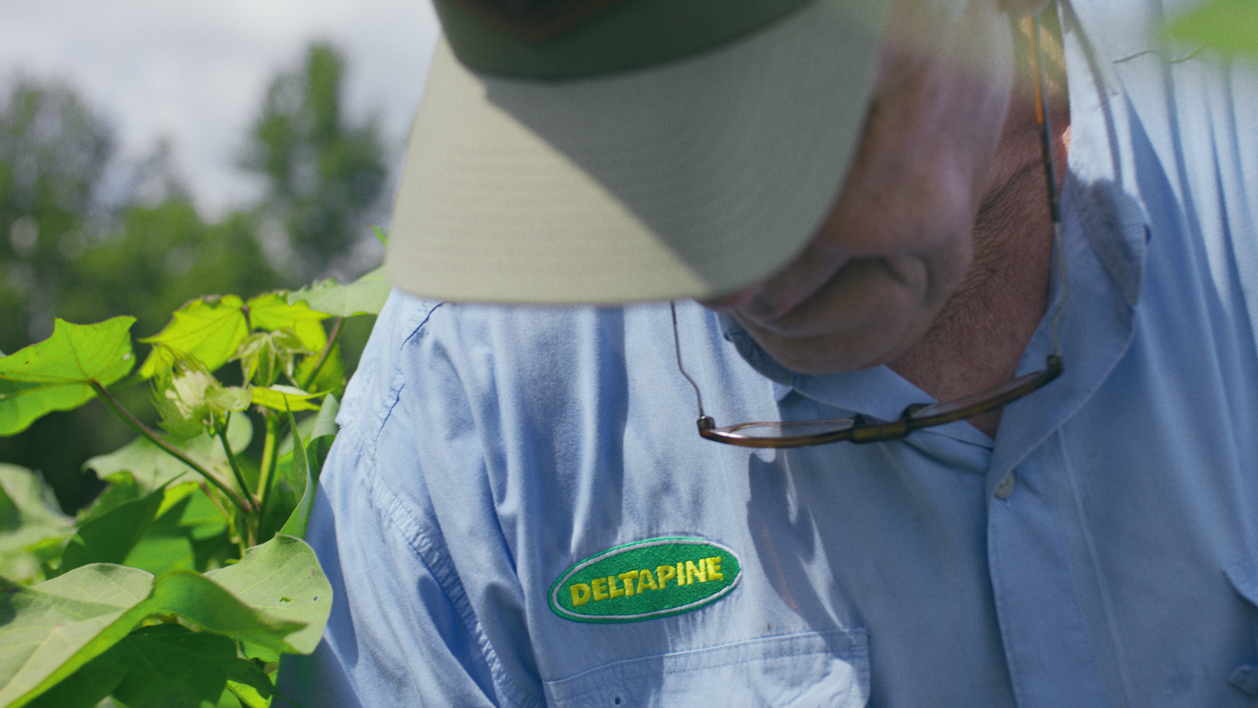 Bayer | Delta Pine | Yield Robbers_06.png