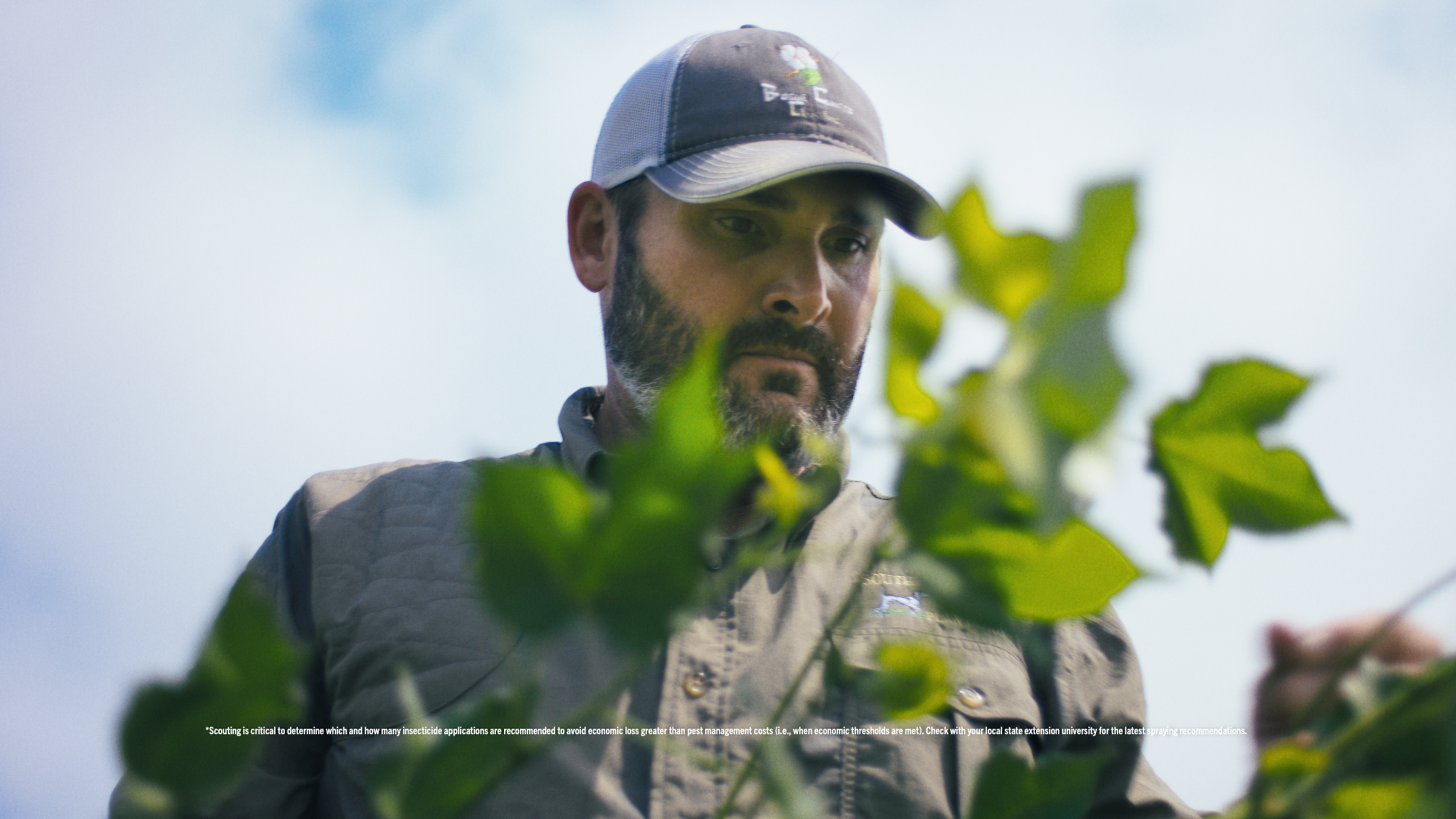 Bayer | Delta Pine | Yield Robbers_09.png