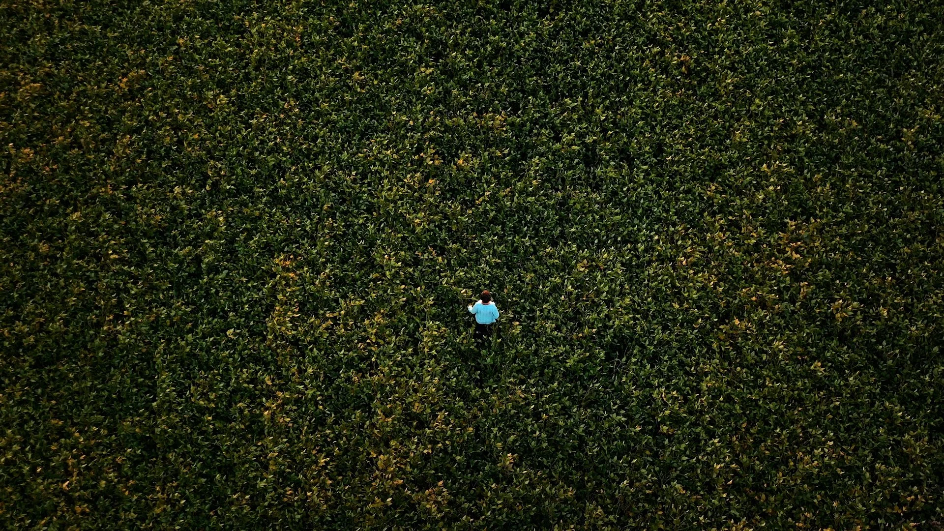 USB | Leadership Program