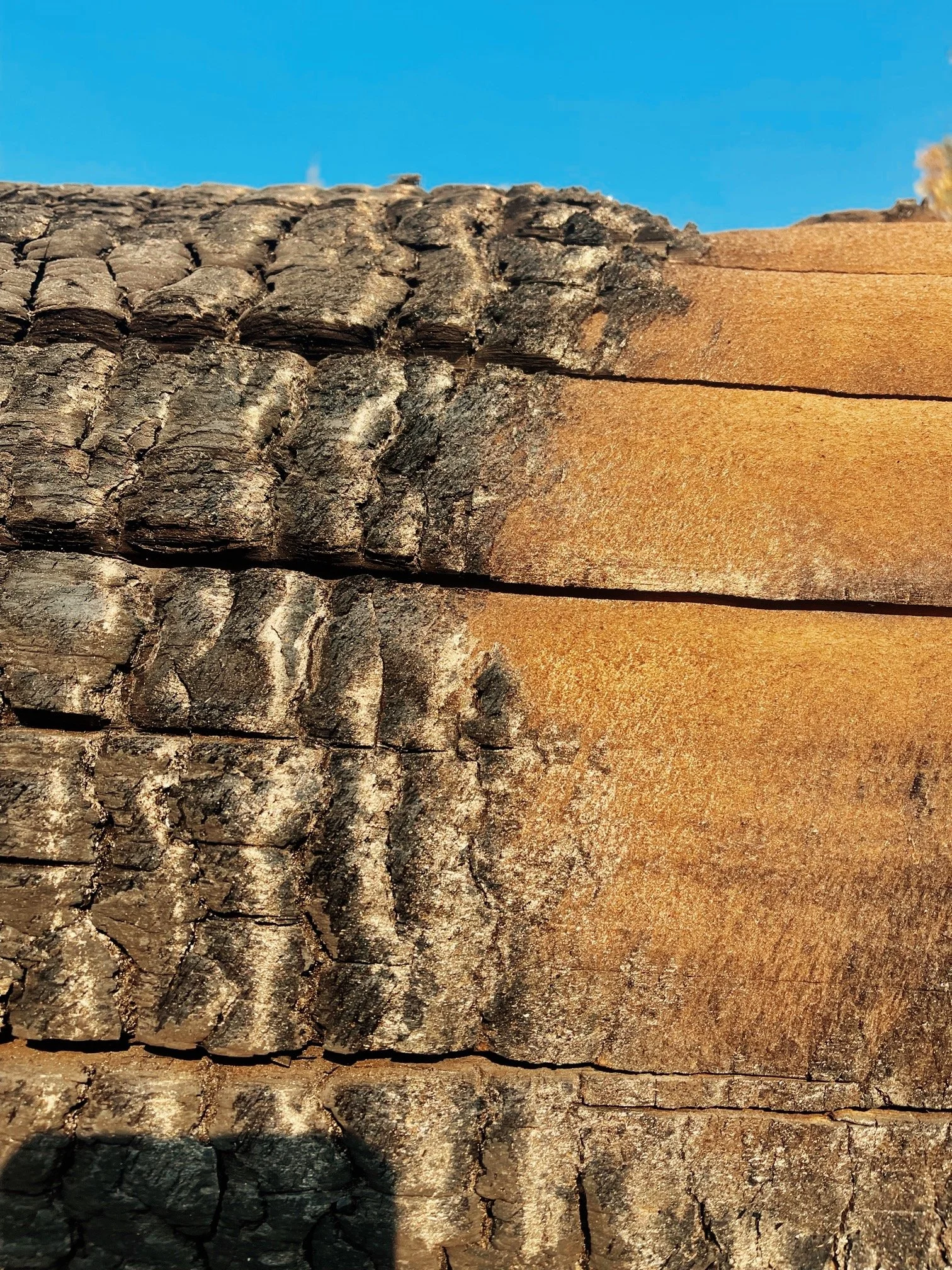 Log Home ✪ Sun Valley, Idaho