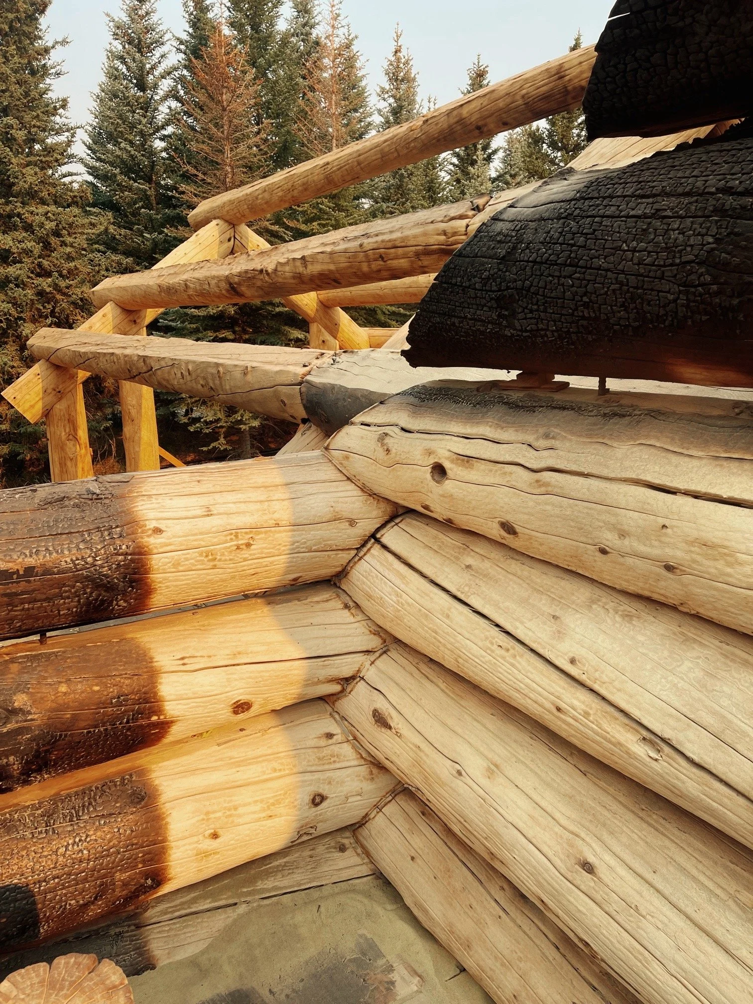 Log Home ✪ Sun Valley, Idaho