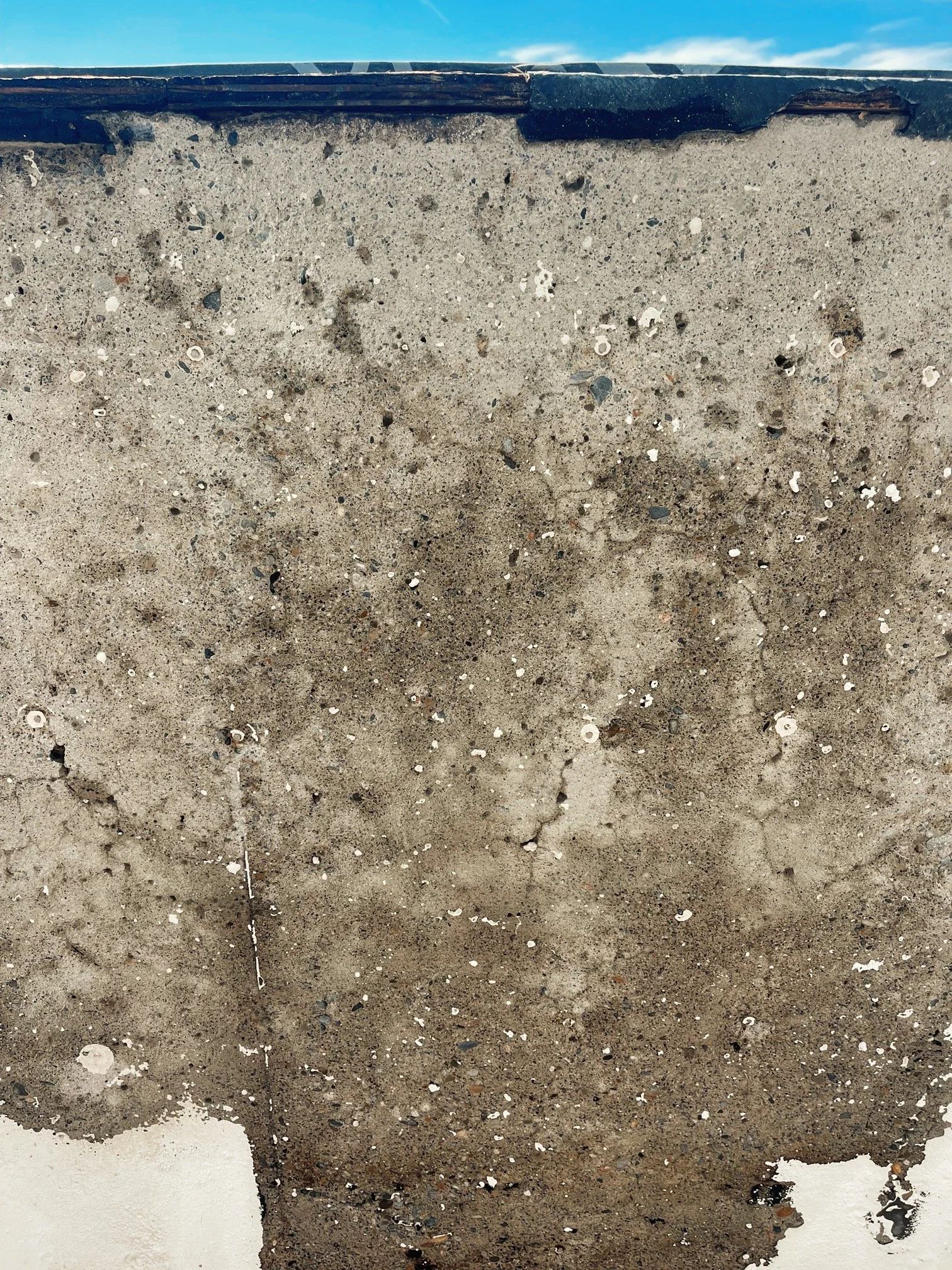 Swimming Pool ✪ Gannett, Idaho