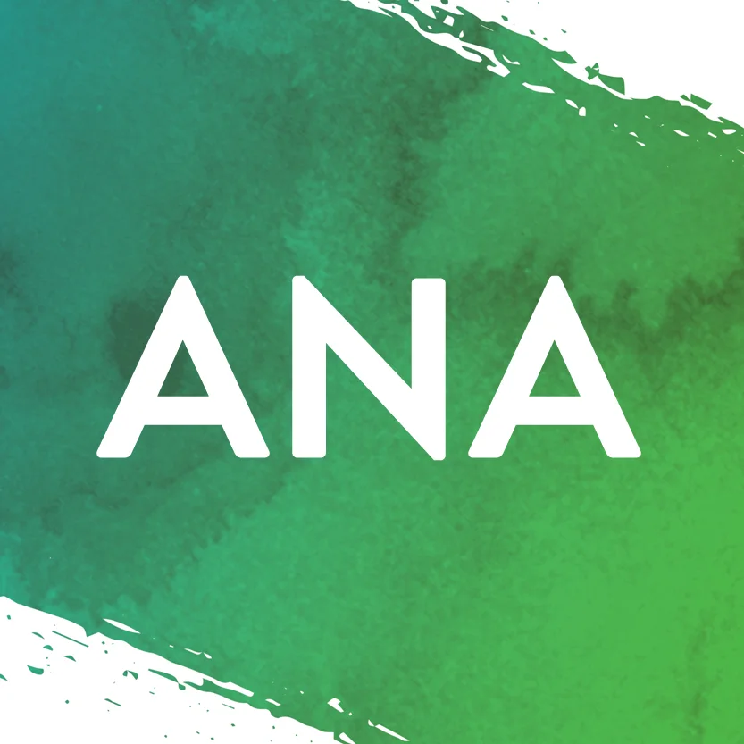 ANA.jpg