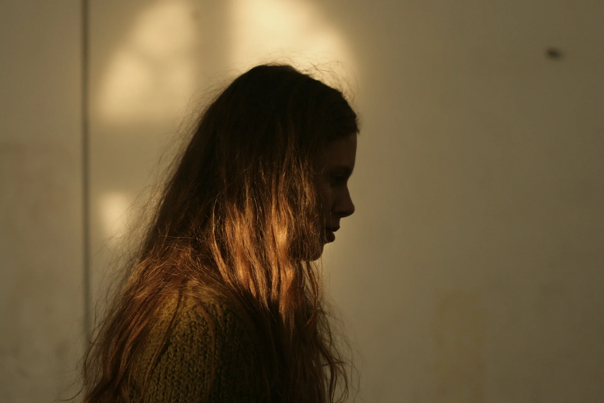 carmilla(Julia Pietrucha)-emerges-at-dusk.JPG