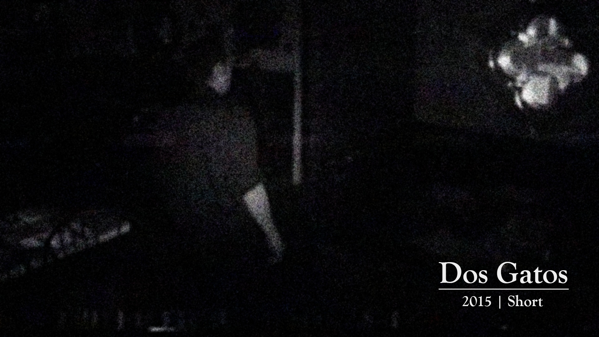 dos-gatos_new1.png
