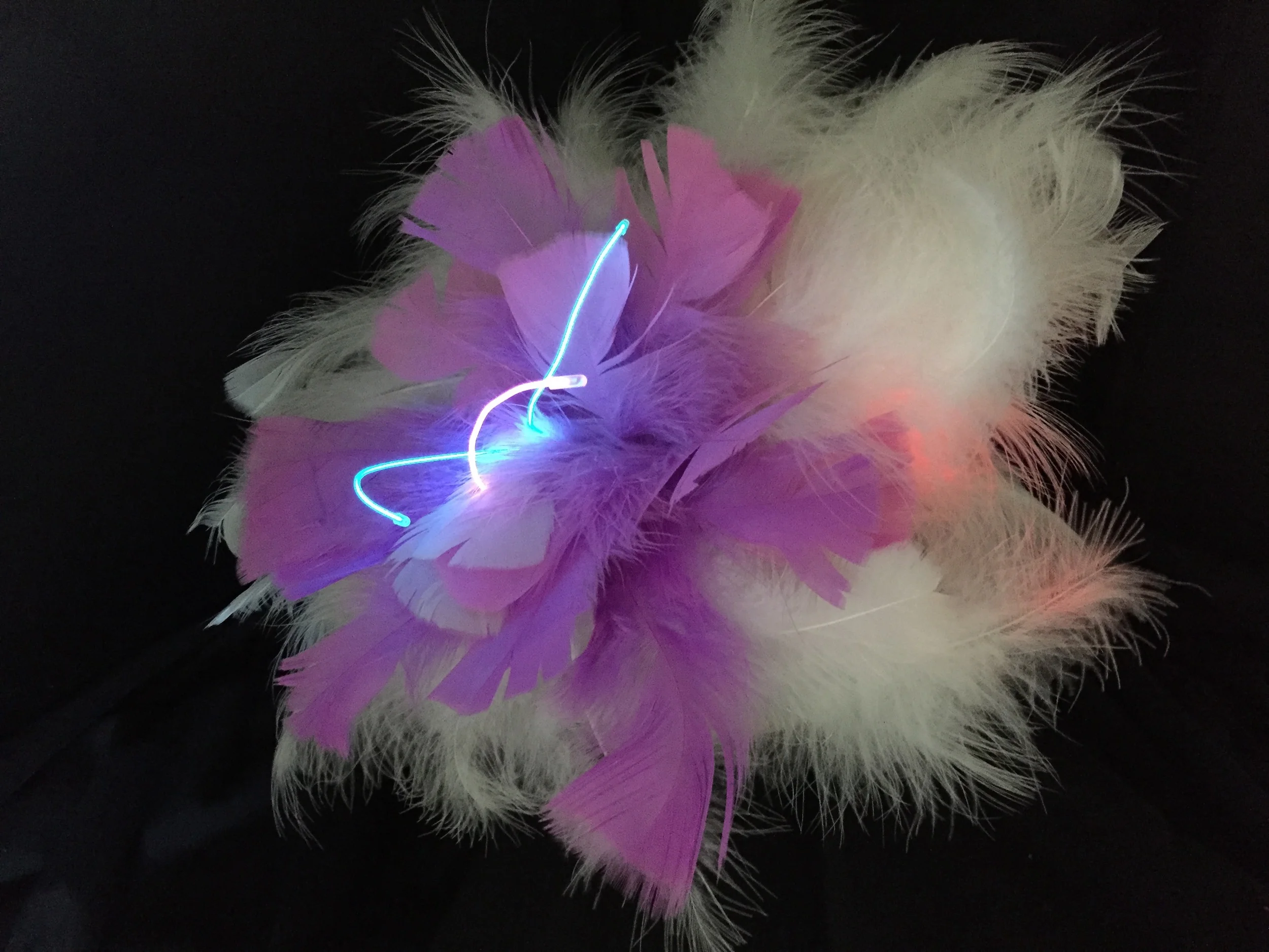 Hunting and Gathering Exhibition, Treasure Valley Artists' Alliance