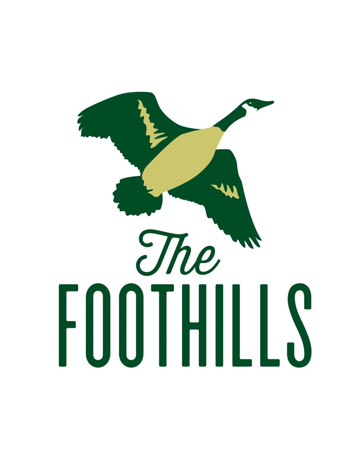 CSU_foothills.jpg