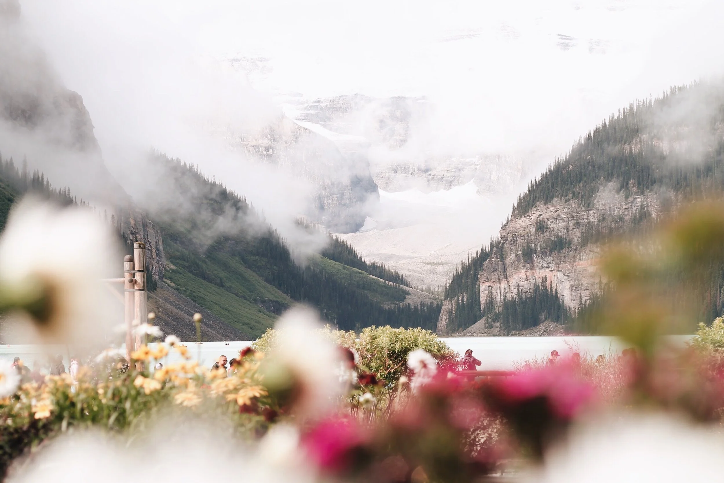 What does this title Look Like