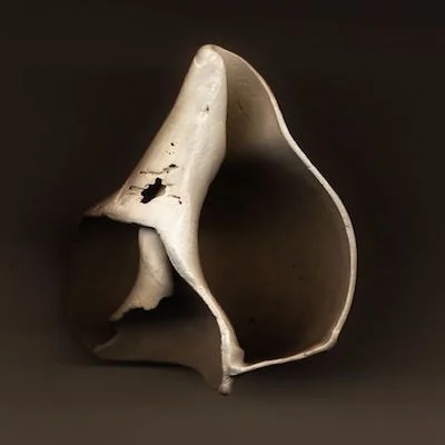 shell small.jpeg