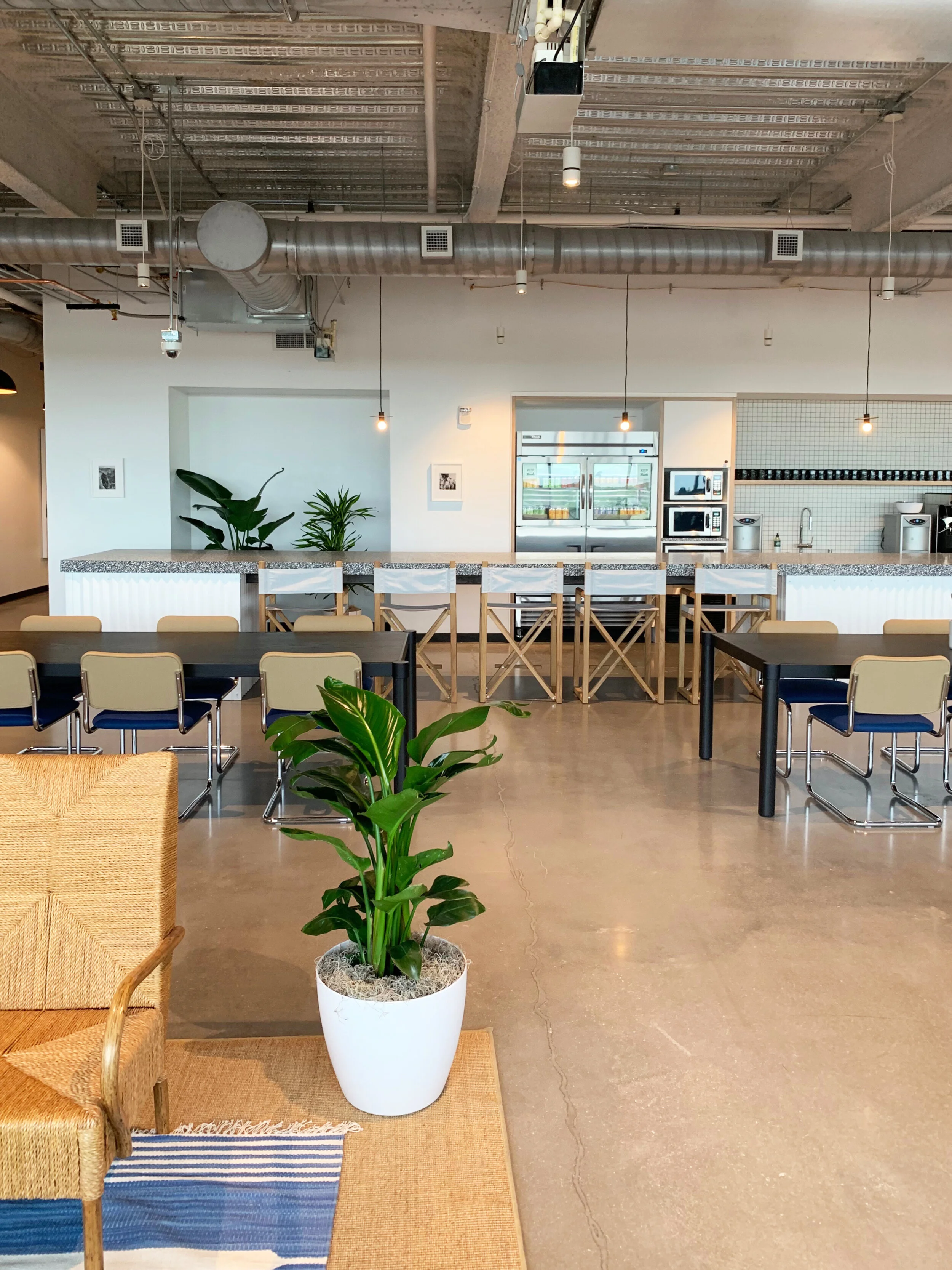 MAIN KITCHEN OP2.jpg