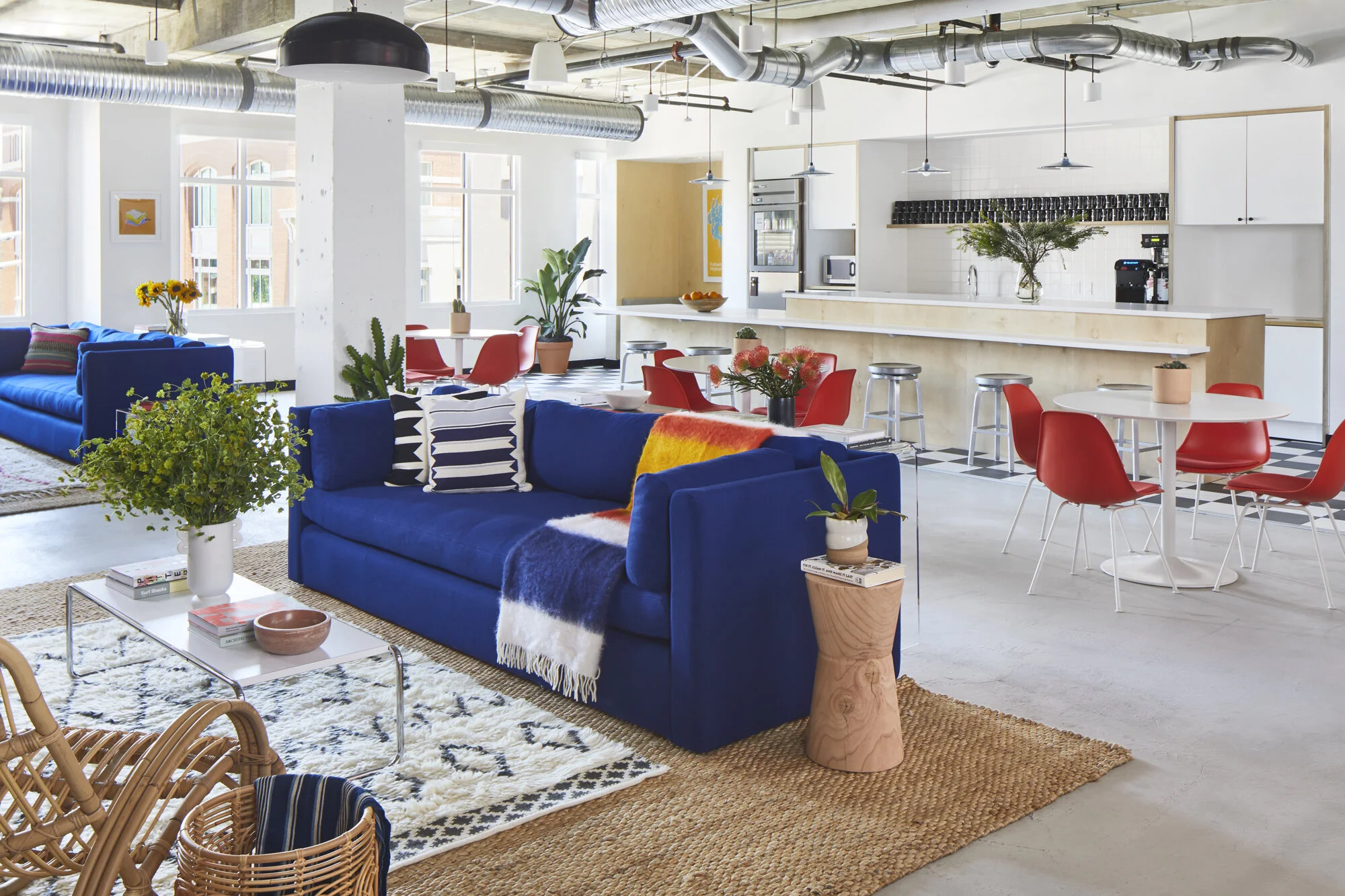 Andrea_Calo6201_w (1).jpg