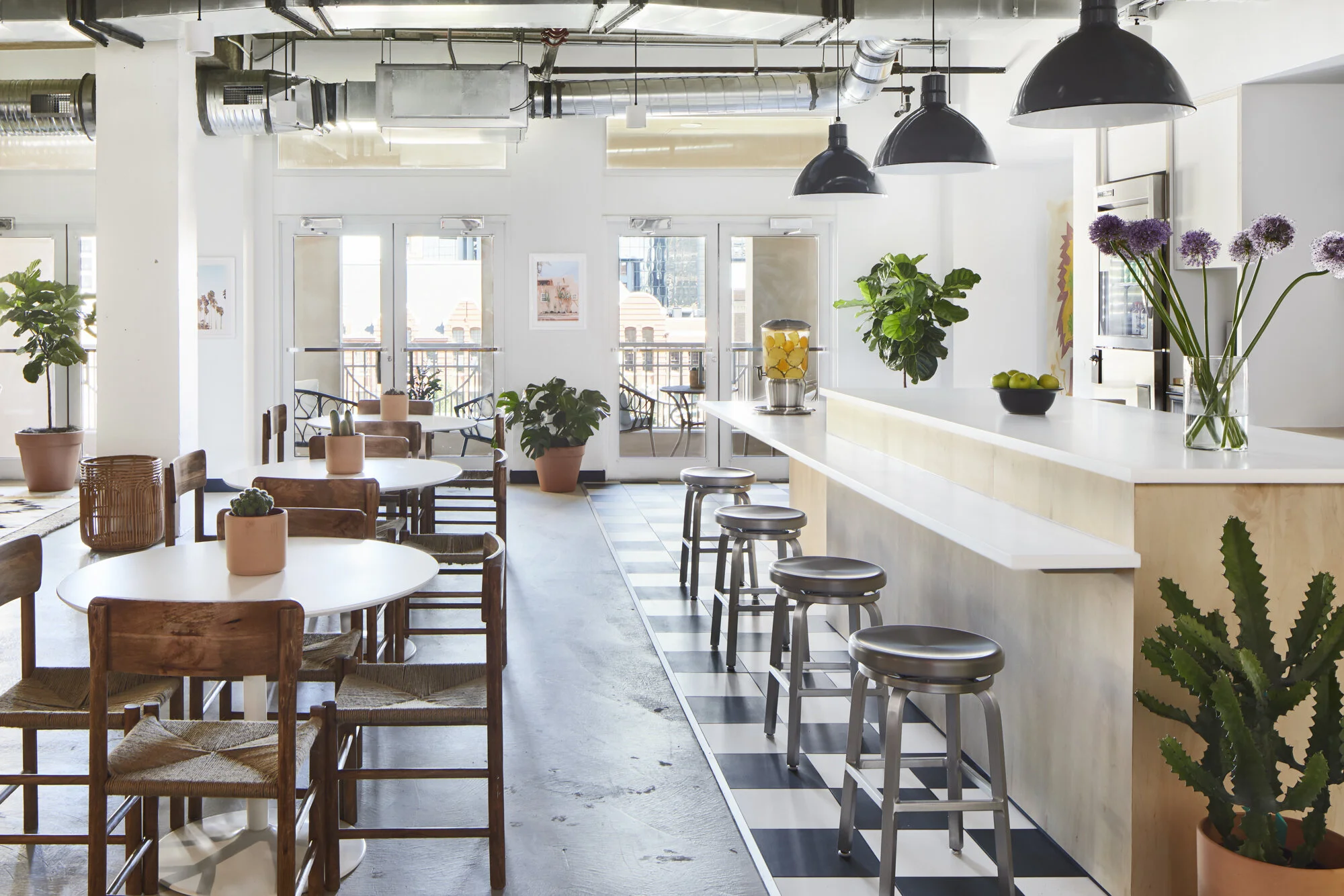 Andrea_Calo5895_w (1).jpg